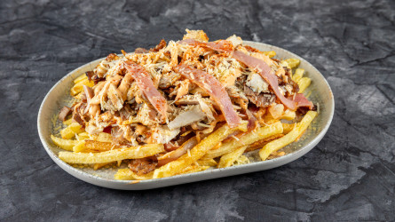 110.patates special me gyro anameikto